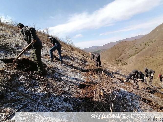 东丰县：寒地黑土上的疫情防线与零感染坚守