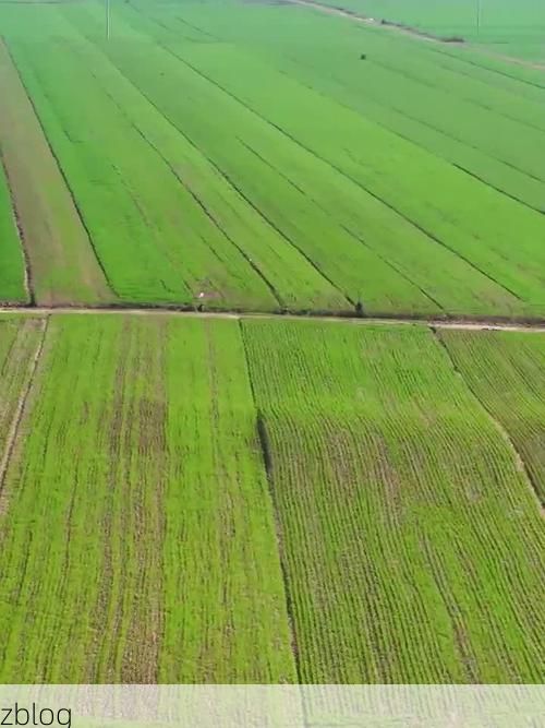 钟祥：江汉平原腹地的防疫坚守与地理屏障_5412