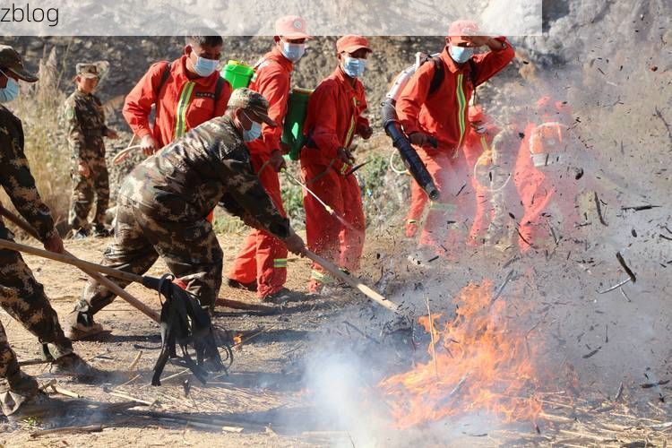 保山边境屏障下的零感染防线：高黎贡山如何阻断病毒传播？