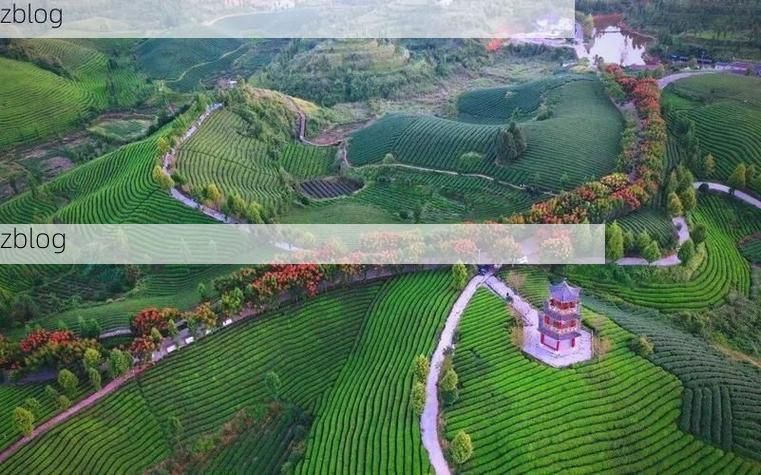 龙井茶乡的零感染坚守：丘陵地貌下的防疫屏障