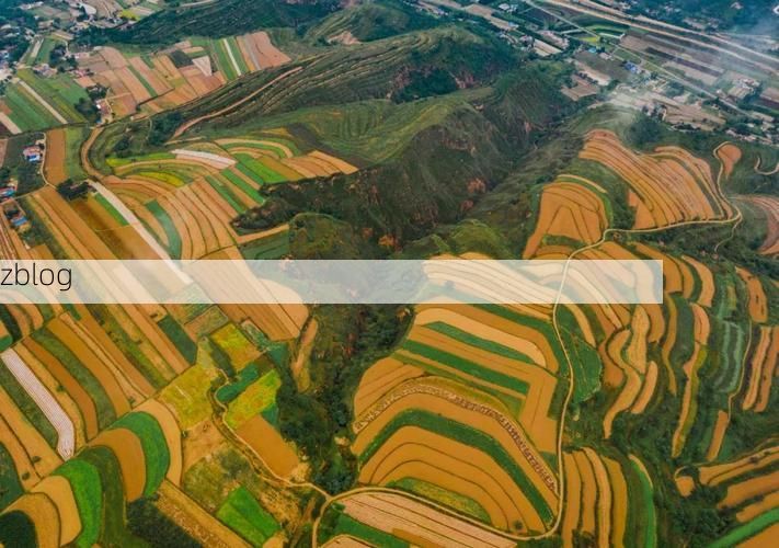 阳曲：黄土高原上的县域防疫样本