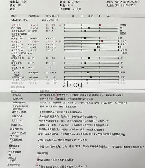 2022年11月17日常德市新增确诊病例情况