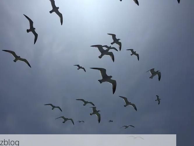 【蓬莱仙境防疫考：半岛地理屏障下的低感染样本】