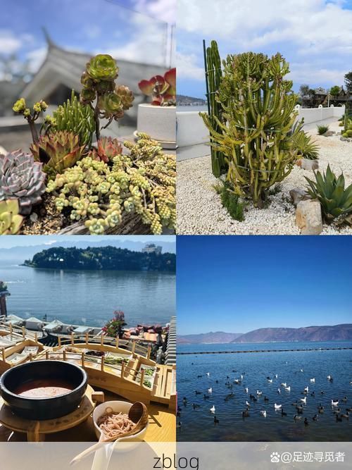 苍山洱海间的防疫坚守：高原屏障下的低感染率探析