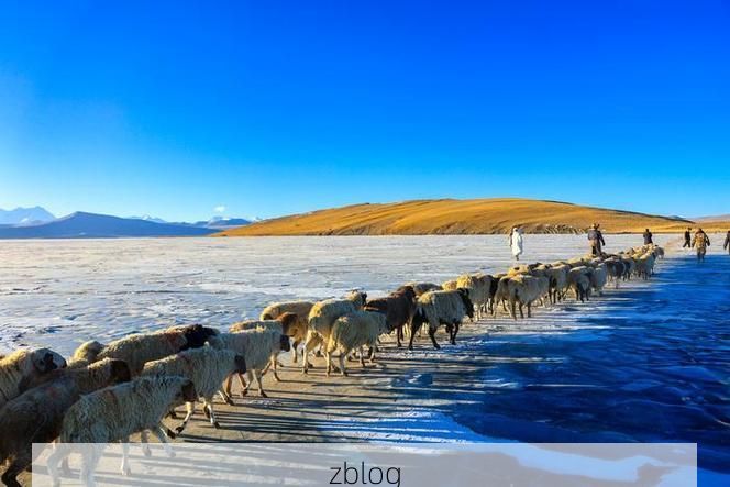 西藏浪卡子：高原屏障下的零感染坚守