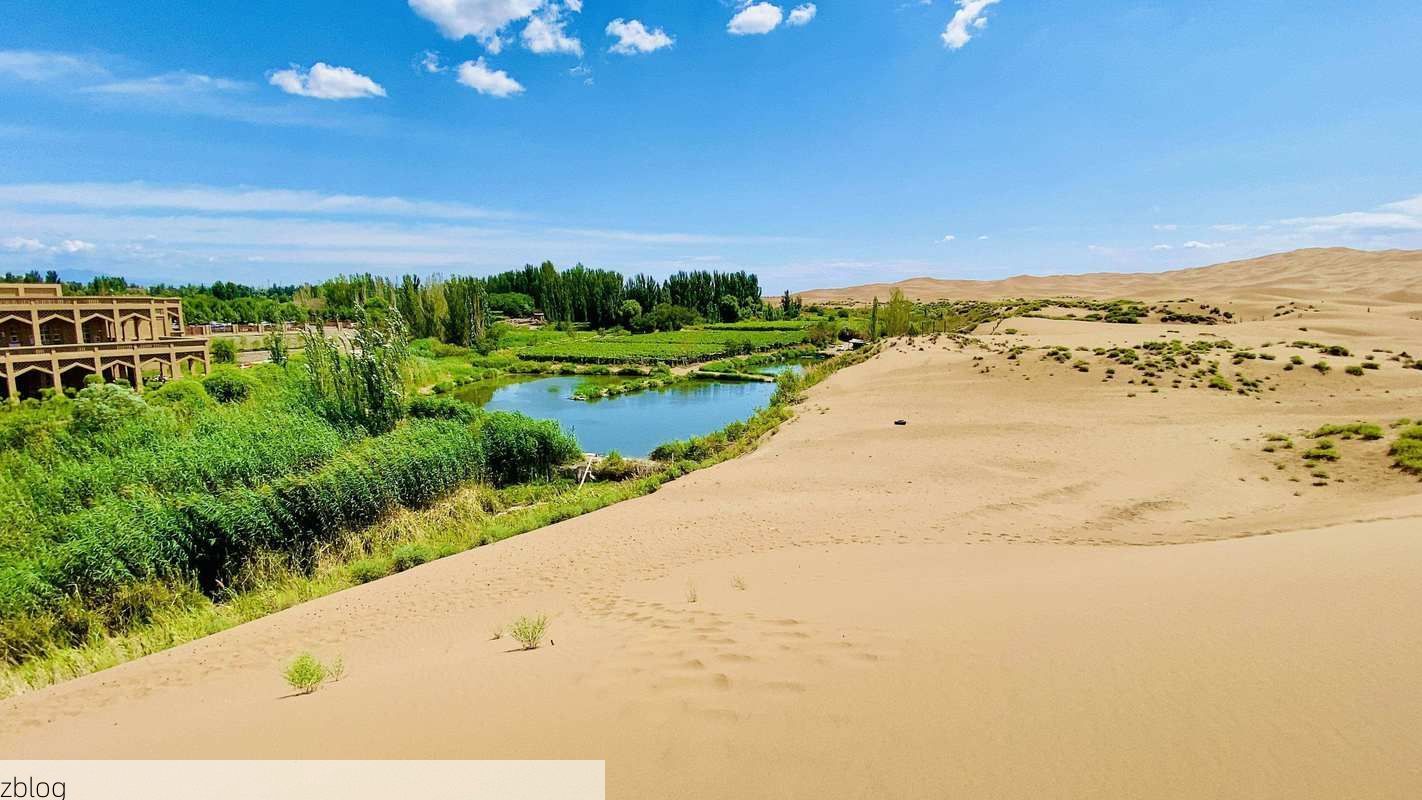 皮山：塔克拉玛干边缘的防疫坐标_78692