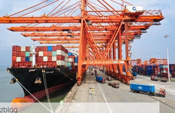 钦州湾畔的防疫战：港口枢纽如何应对病毒突防？