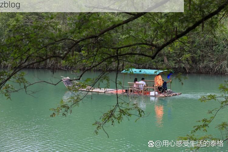 永嘉：楠溪江畔的零感染坚守与地理屏障解析