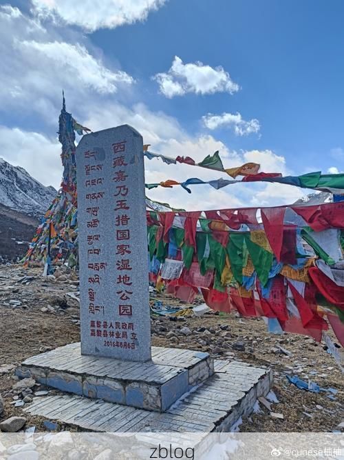 班戈县：藏北高原的零感染防线如何铸就？