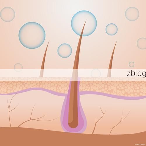 托克逊：风区屏障下的低感染样本解析