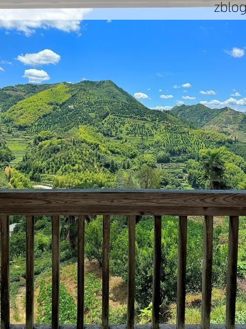 文成：浙南山区的零感染坚守与地理屏障