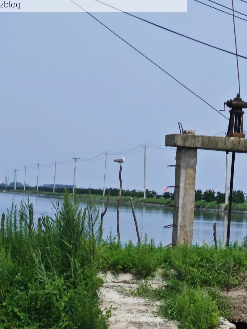 双滦区：承德山城屏障下的疫情防波堤