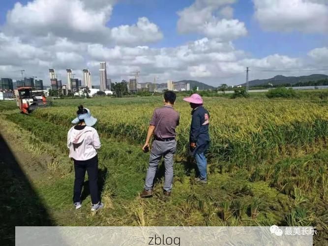 【长乐：滨海侨乡的疫情防线与交通枢纽压力】