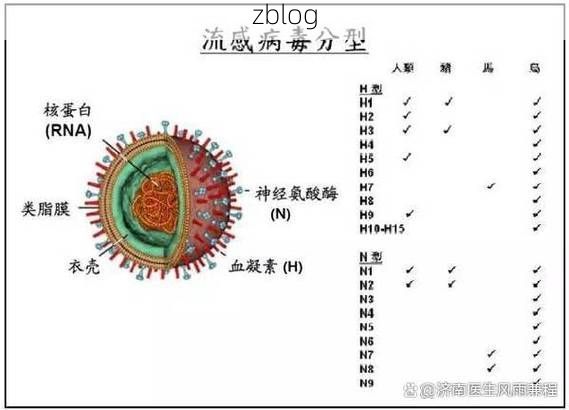 南部疫情：高温高湿环境下的病毒传播链解析