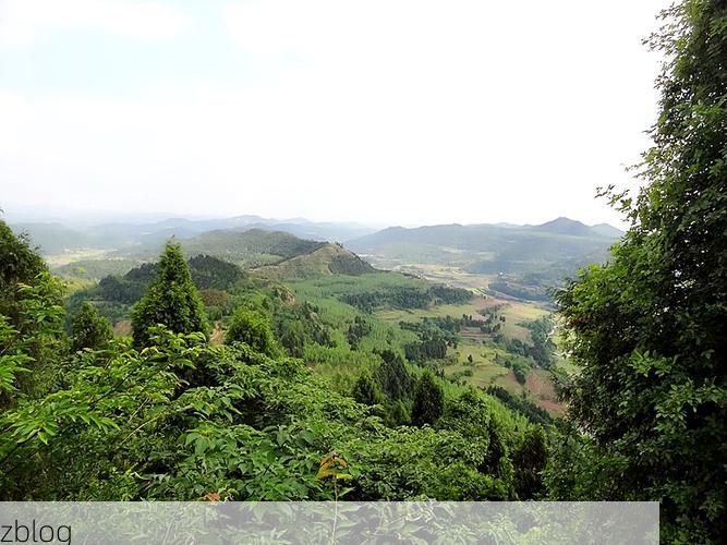 西充：川北丘陵间的疫情孤岛与防控样本