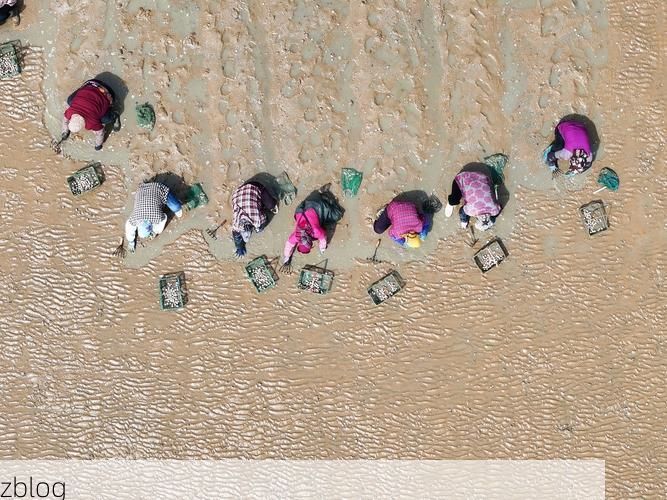 灌云县：黄海之滨的县域防疫样本解析