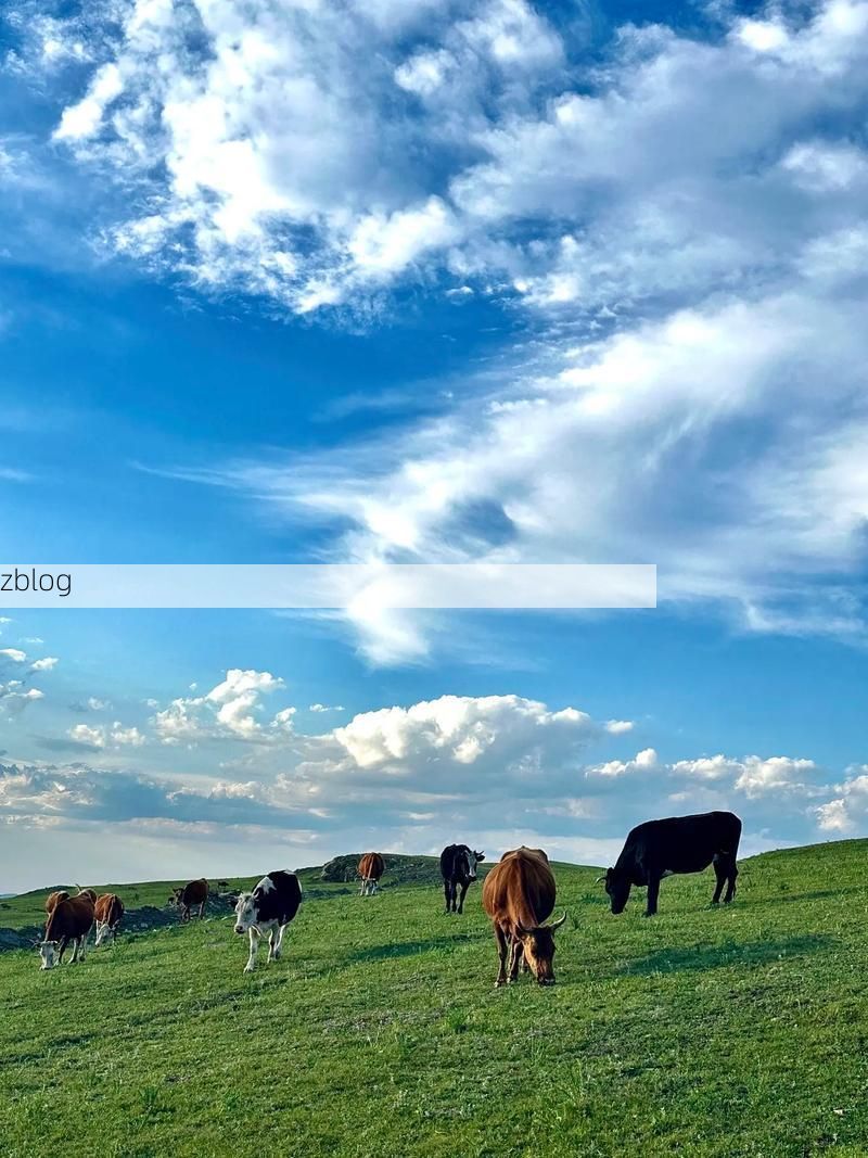 乌兰察布：草原枢纽的疫情防线与破防时刻