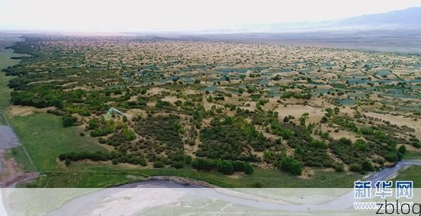 贵南高原：低人口密度下的疫情静默样本