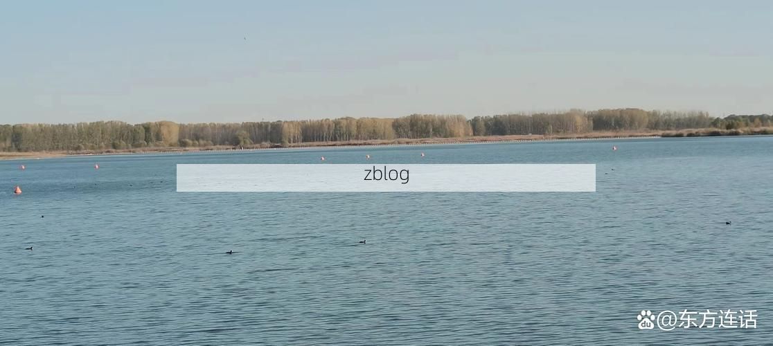 白洋淀畔的静默坚守：安新县水域屏障下的防疫逻辑