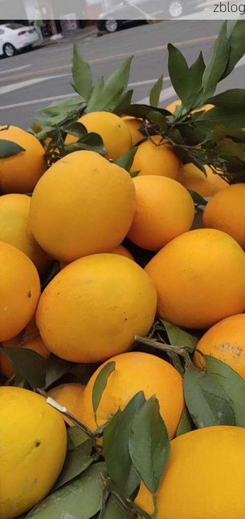 信丰县：赣南脐橙之乡的疫情防线与破防时刻_72657