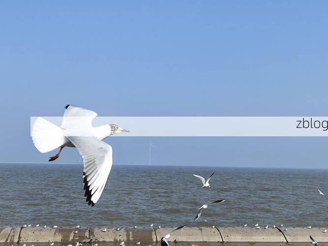 昌邑市：渤海湾畔的零感染坚守与地理屏障解析_43064