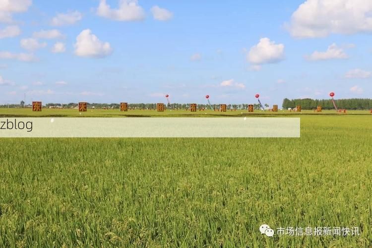 拜泉：寒地黑土上的零感染坚守与物理防线解析_35150