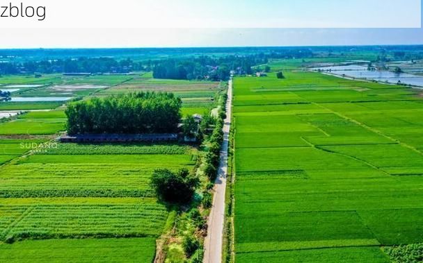 宜城：江汉平原腹地的防疫坚守与挑战