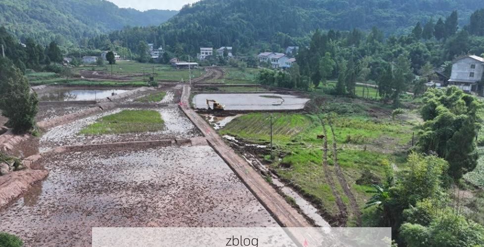 安岳：川中丘陵的疫情防御与局部破防