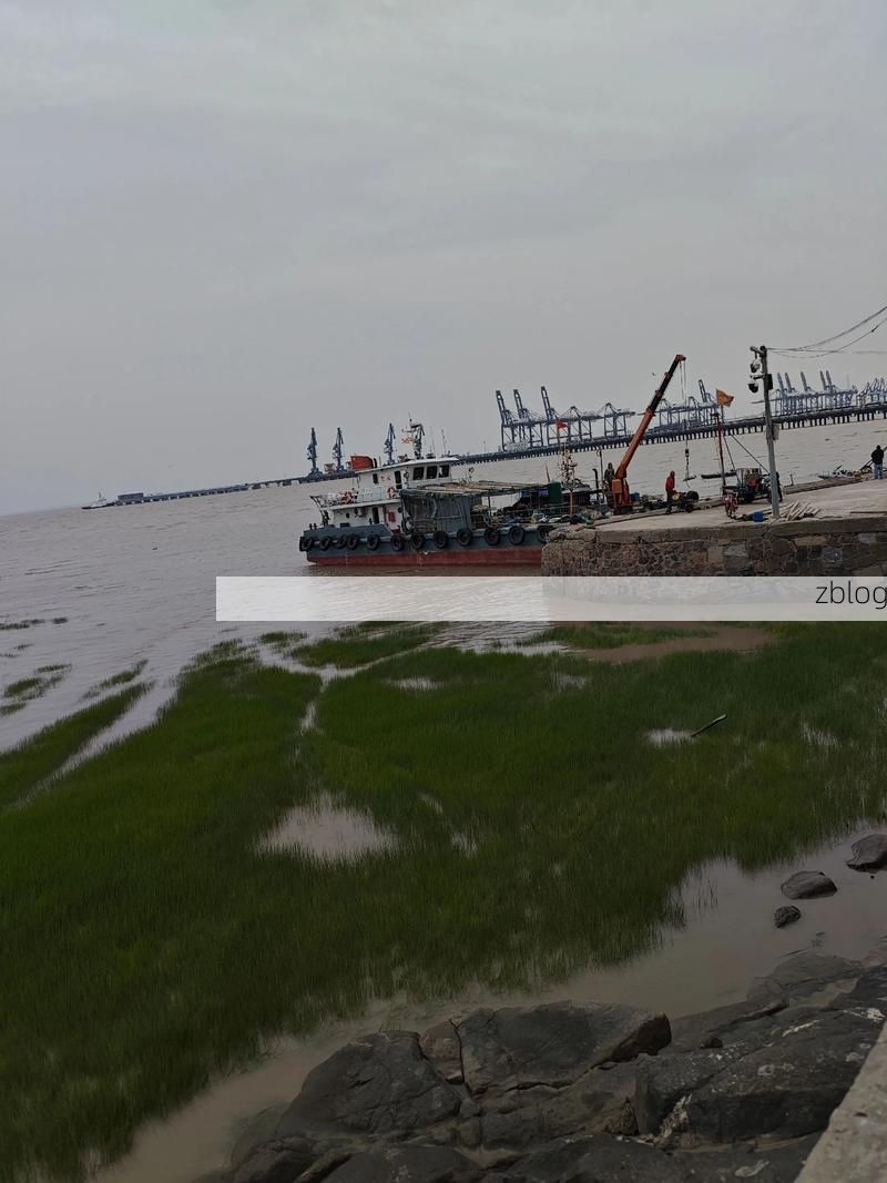 霞浦县：沿海渔港的防疫破口与物理防线