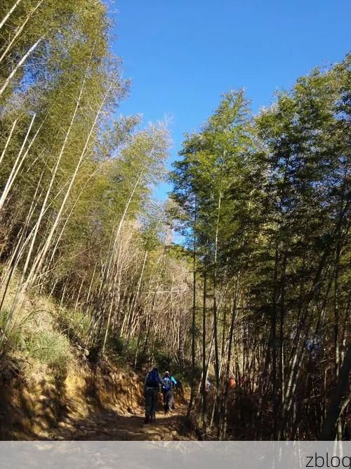 信宜：云开山脉屏障下的零感染坚守_64594