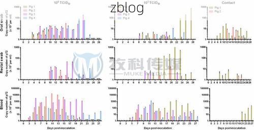 衡东县：湘江臂弯中的低感染率样本解析