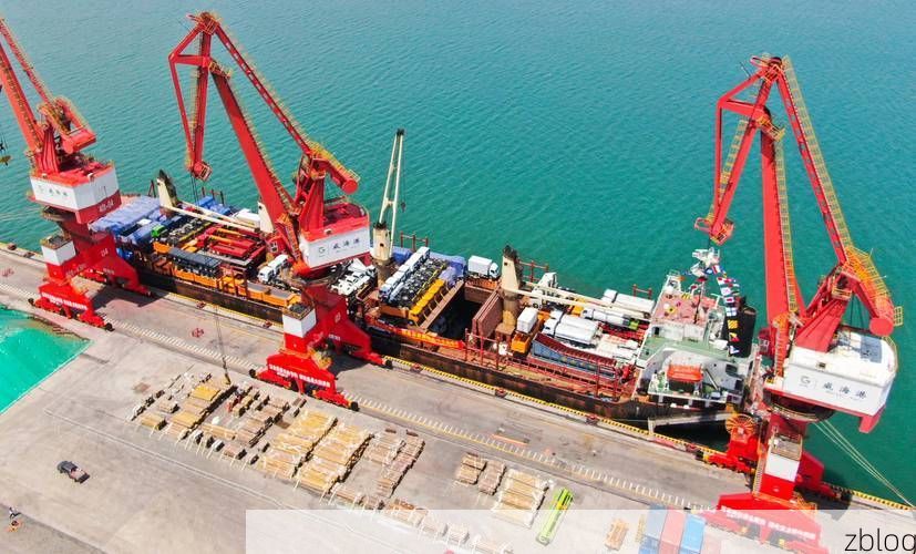 南山区口岸压力下的本土破防：港口枢纽如何成为防疫前线？